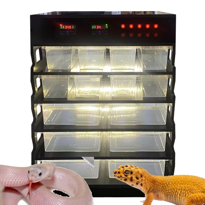 Gecko Lighting & Decor - Intelligent PVC Reptile Furniture, Reptile Supplies,