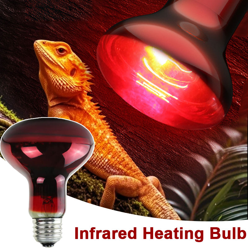 Reptile Heat Lamp 100V/220V In - đánh giá và giá Gecko Lighting & Decor