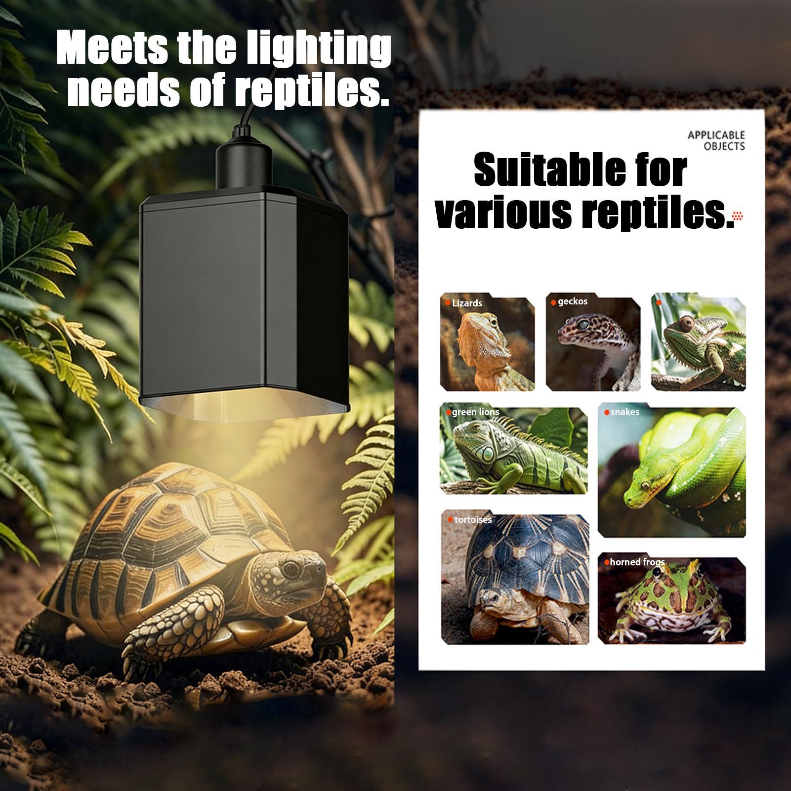 Reptile Heat Lamp Cover Reptil - đánh giá và giá Gecko Lighting & Decor