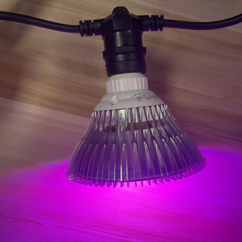 10M Cable LED String Commercia - đánh giá và giá String Light Outdoor